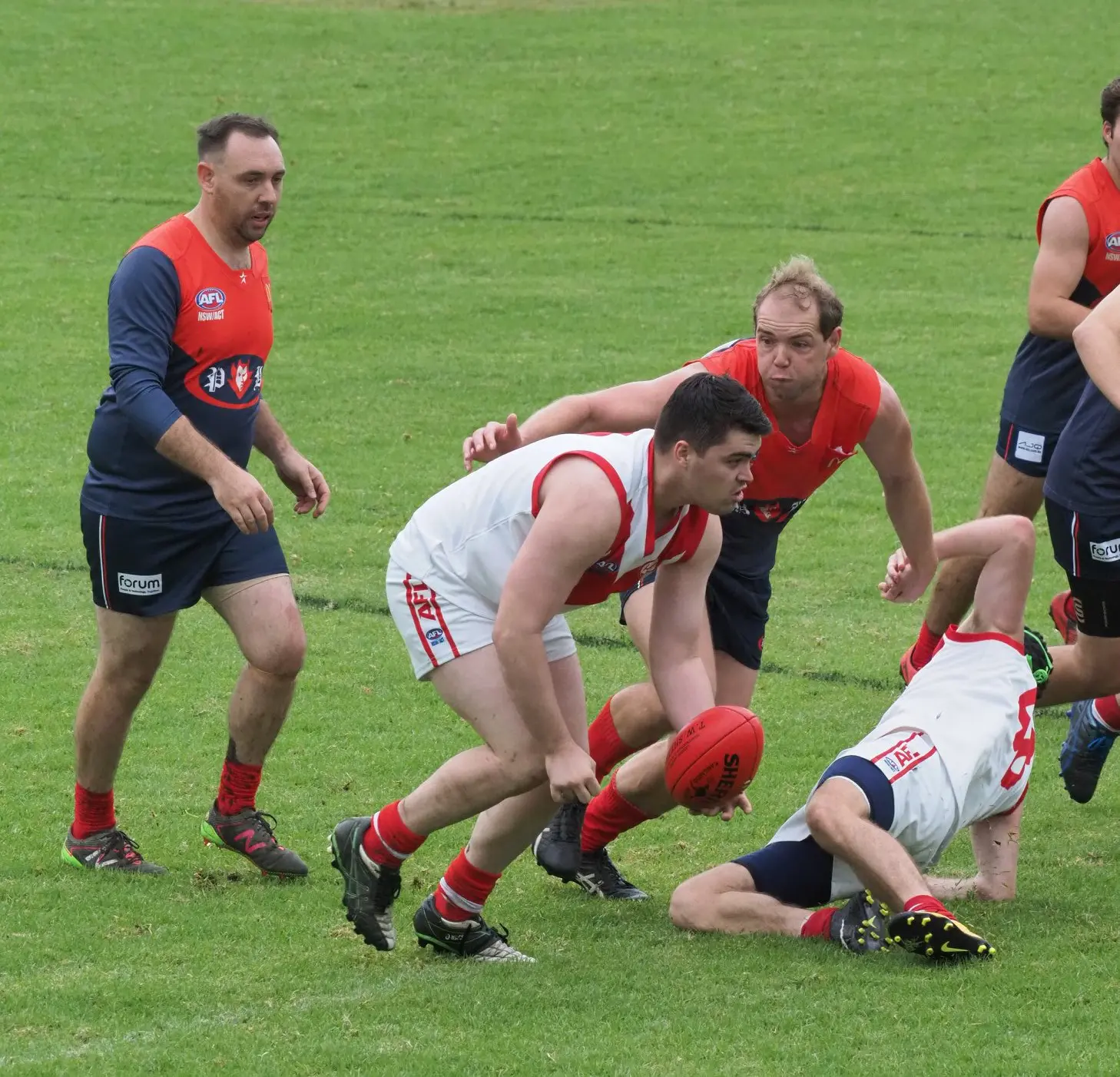 Hayley Lowe’s 100 Game Milestone