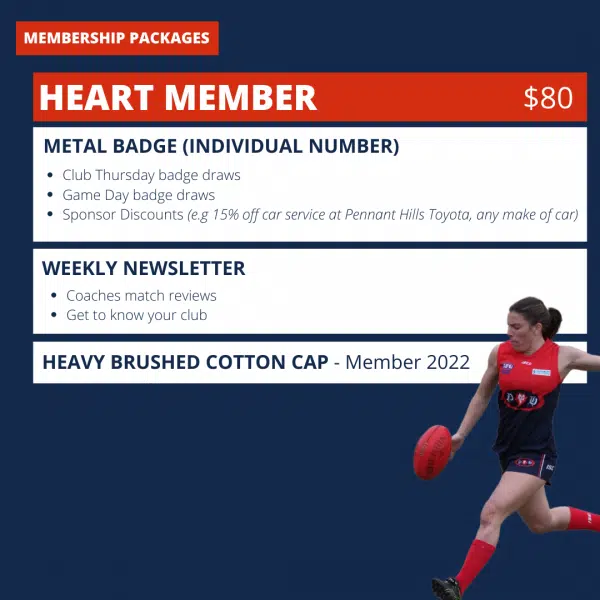 Test of the team reveal notices that scroll before teams are announced 1