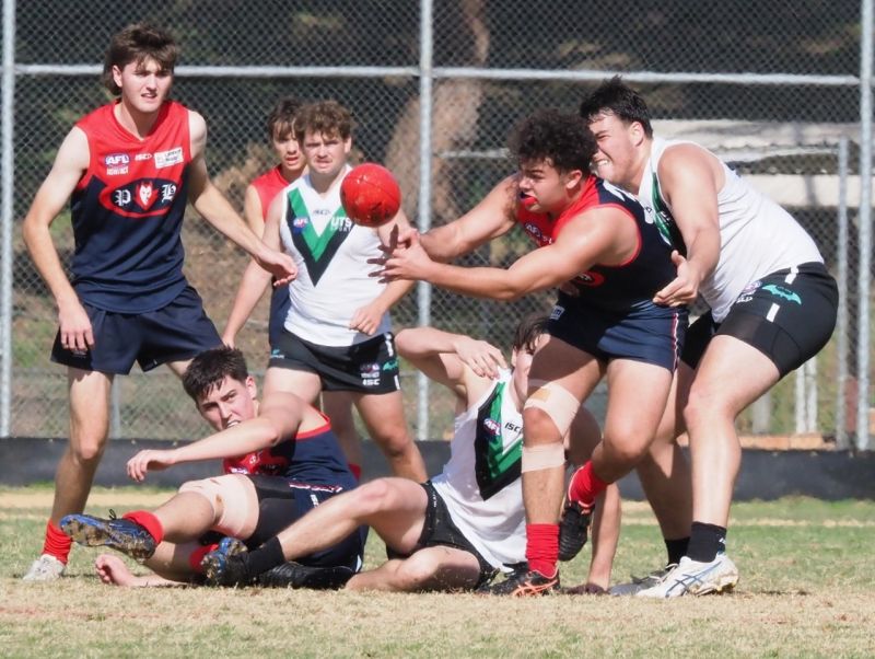 PHAFL U19.5 Division Two