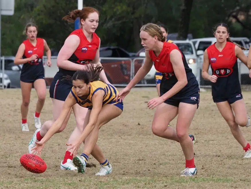 PHAFL Premier Division Women's