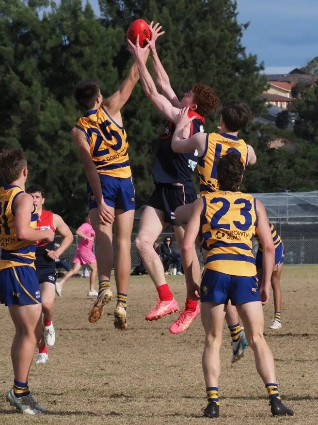 PHAFL U19 Division 1
