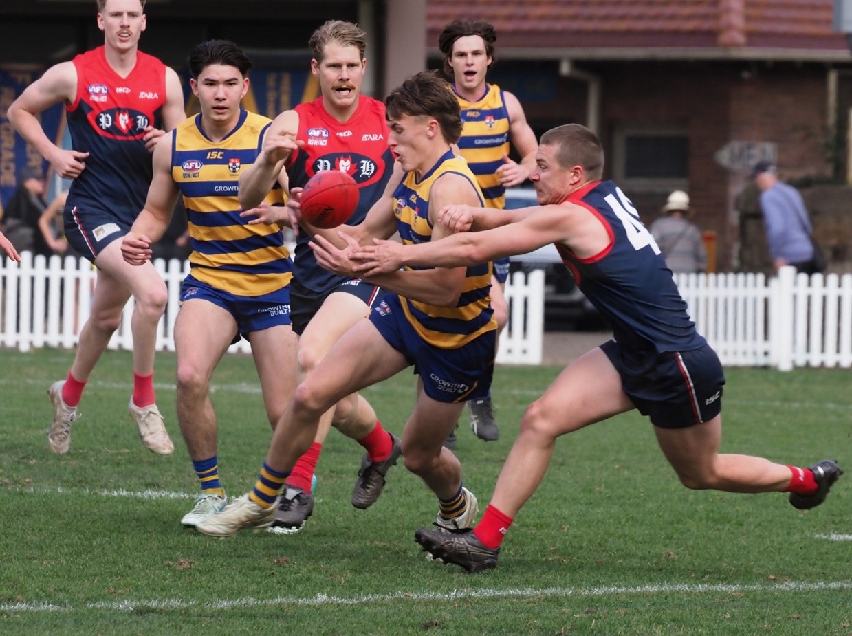 PHAFL Sydney AFL Division 1 Mens