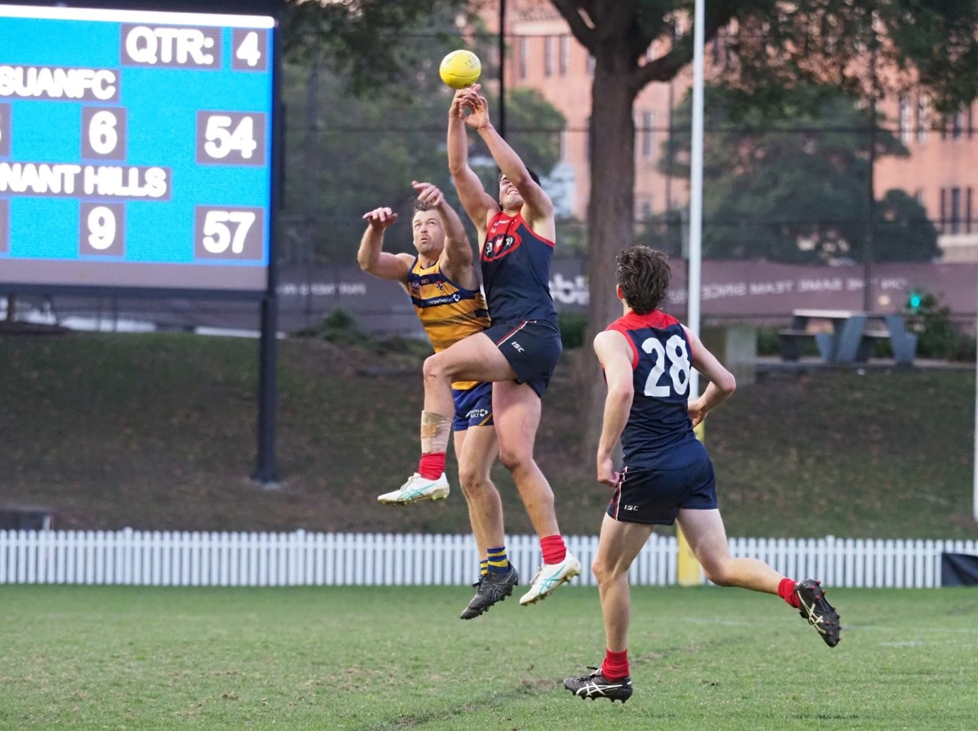 PHAFL Sydney AFL Premier Division Mens