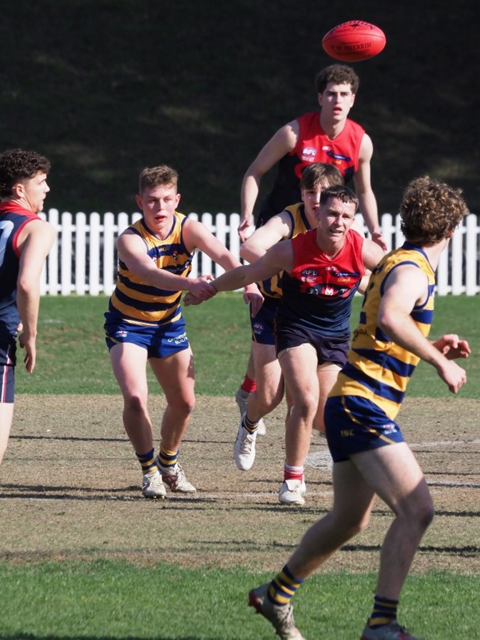PHAFL Sydney AFL U19.5 Division 1