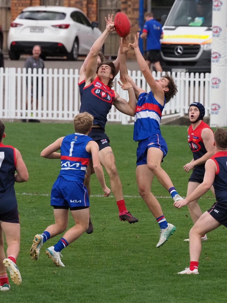 PHAFL Sydney AFL Under 19 Division 1