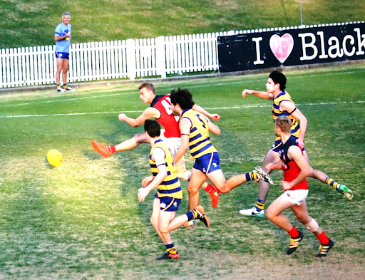 AFL Milestone