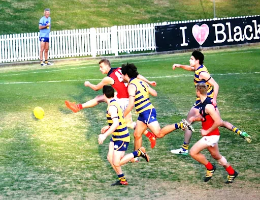 AFL Milestone